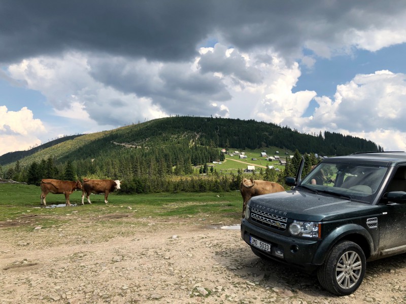 IMG_1782.jpg (2.05 MiB) Zobrazeno 8354 x IMG_1782.jpg