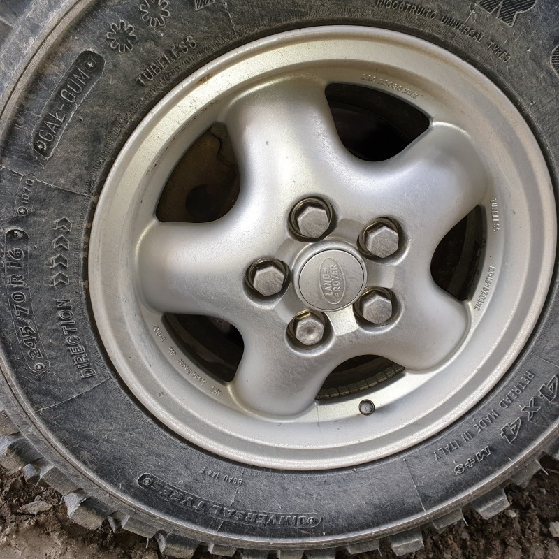 20190305_103704.jpg